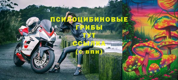 2c-b Заволжье