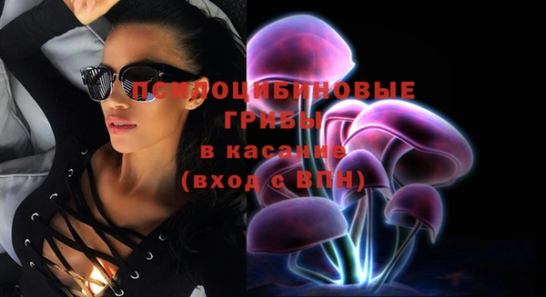 спиды Бородино