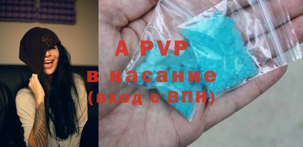 спиды Бородино