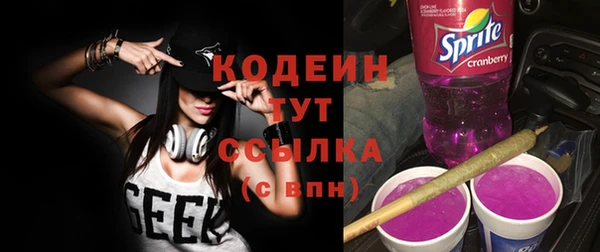 спиды Бородино