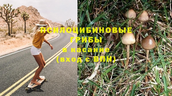трава Бугульма
