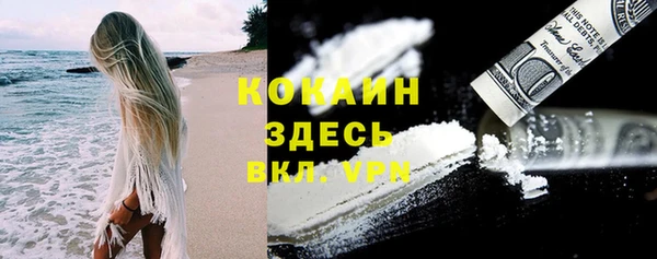 спиды Бородино