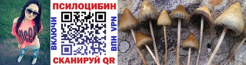 мега ссылки  Меленки  Псилоцибиновые грибы Psilocybe 